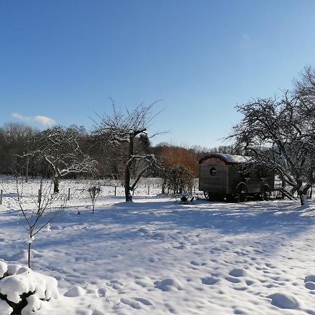 Roulotte Le Temps De Rever Bed and Breakfast Saint-Michel-sur-Meurthe Eksteriør billede