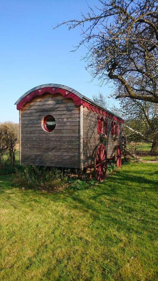 Roulotte Le Temps De Rever Bed and Breakfast Saint-Michel-sur-Meurthe Eksteriør billede