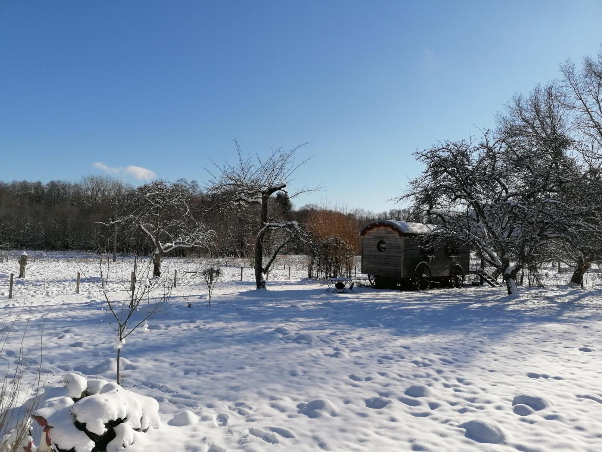 Roulotte Le Temps De Rever Bed and Breakfast Saint-Michel-sur-Meurthe Eksteriør billede